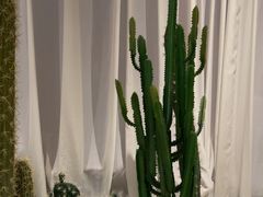 -悦海·家宴·冰花皮皮虾大锅贴(宝龙店)