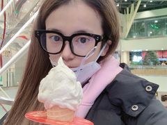 -野人先生现做冰淇淋(西安赛格店)
