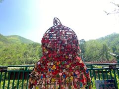 -西双版纳原始森林公园