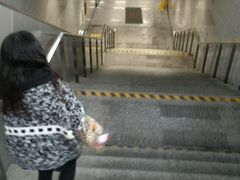 -杨高南路(地铁站)