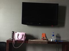 -常州环球恐龙城维景国际大酒店