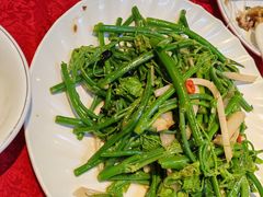 佛手瓜苗-粤北餐馆