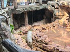 -长鹿旅游休博园