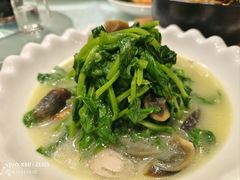 -金米箩大酒店(五角场店)