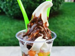 -Salud撒露欧洲冻酸奶(蓝色港湾店)