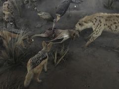 -自然博物馆新馆2楼餐厅