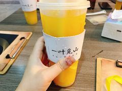 -一叶觅山(半边街店)