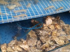 -蟹谢蒸鲜自助餐厅
