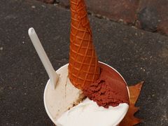 -Dip in Gelato(富民路店)