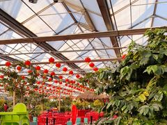 -南宫五洲植物乐园