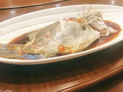 清蒸多宝鱼-北京全聚德(西翠路店)