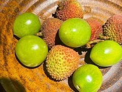 -花潮料理艺食馆(成都万象城店)