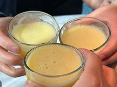 -凤凰湘语(浦东旗舰店)