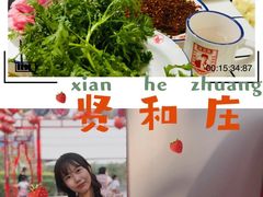 -贤合庄卤味火锅(勒泰中心店)