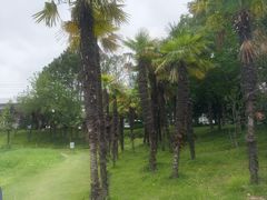 -美兰湖景区