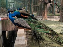 -南京金牛湖风景区