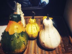 -MUSEO COFFEE咖啡博物馆