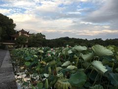 -杭州西湖风景名胜区北街寻梦停车场