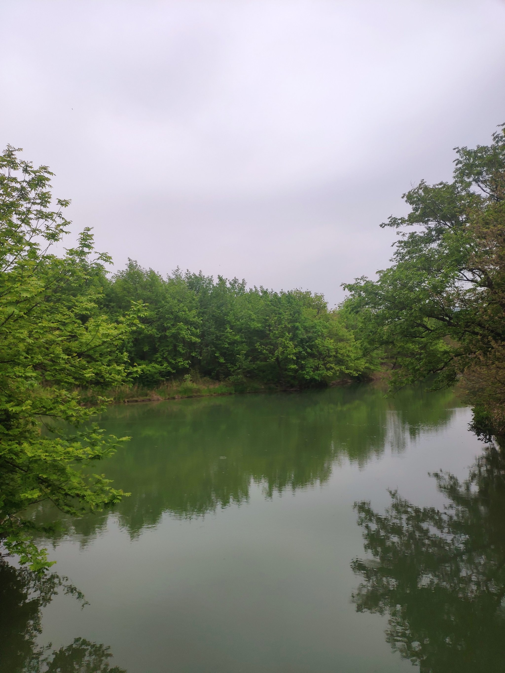 西溪湿地天气马上知