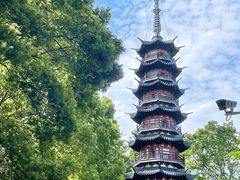 -上海佘山国家森林公园西佘山园