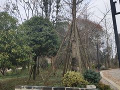 -周立波故居