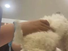 -宠颐生宠物医院·心肾内科·猫专科诊疗中心宠巢店