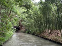 -同里国家湿地公园