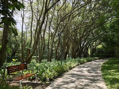 -福田红树林生态公园