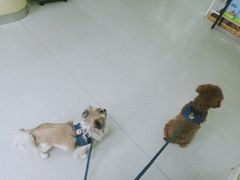 -美联众合动物医院(唯恩分院)