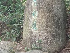 -梧桐山风景名胜区