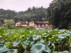 -韶山毛泽东同志故居