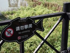 -沙家浜风景区