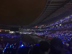 -南京奥林匹克体育中心-体育馆