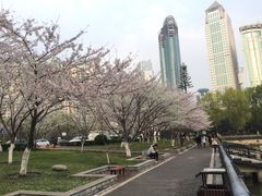 -西北湖绿化广场
