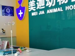 -美迦爱-牙专科·兔科·骨科诊疗中心(北苑店)
