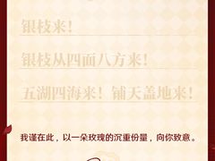 -22号传承新疆菜·柴窝堡辣子鸡
