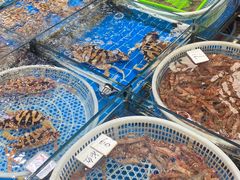 -船奇蒸汽海鲜·闽菜(八市海鲜总店)