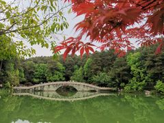 -铁山坪森林公园