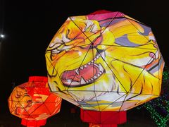 -青龙湖公园