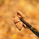 第一次吃冷锅鱼，竟然是不需要开火煮的？
