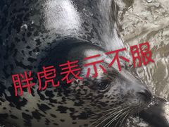 -成都浩海立方海洋公园
