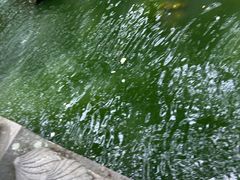 -普陀山风景名胜区-法雨禅寺
