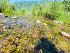 -白河湾生态旅游一条川