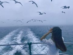 -海驴岛(荣成市)