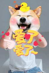 -亲吻宝贝儿童摄影
