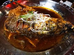 鱼头-锦上中式酒馆(南内环店)