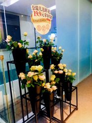 大堂-奈瑞儿美颜美养SPA