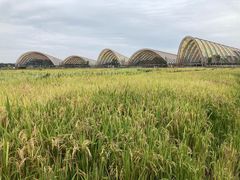 -中国天府农业博览园