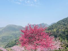 -梅州天地人花园酒店(梅县人民广场店)