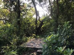 -厦门国家会计学院
